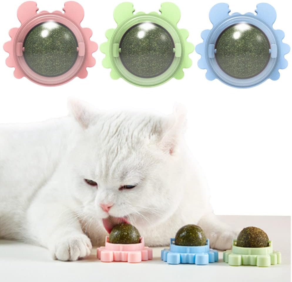 PAGA 1 LLEVA 2💥CatNip® | Hierba gatera de diversion