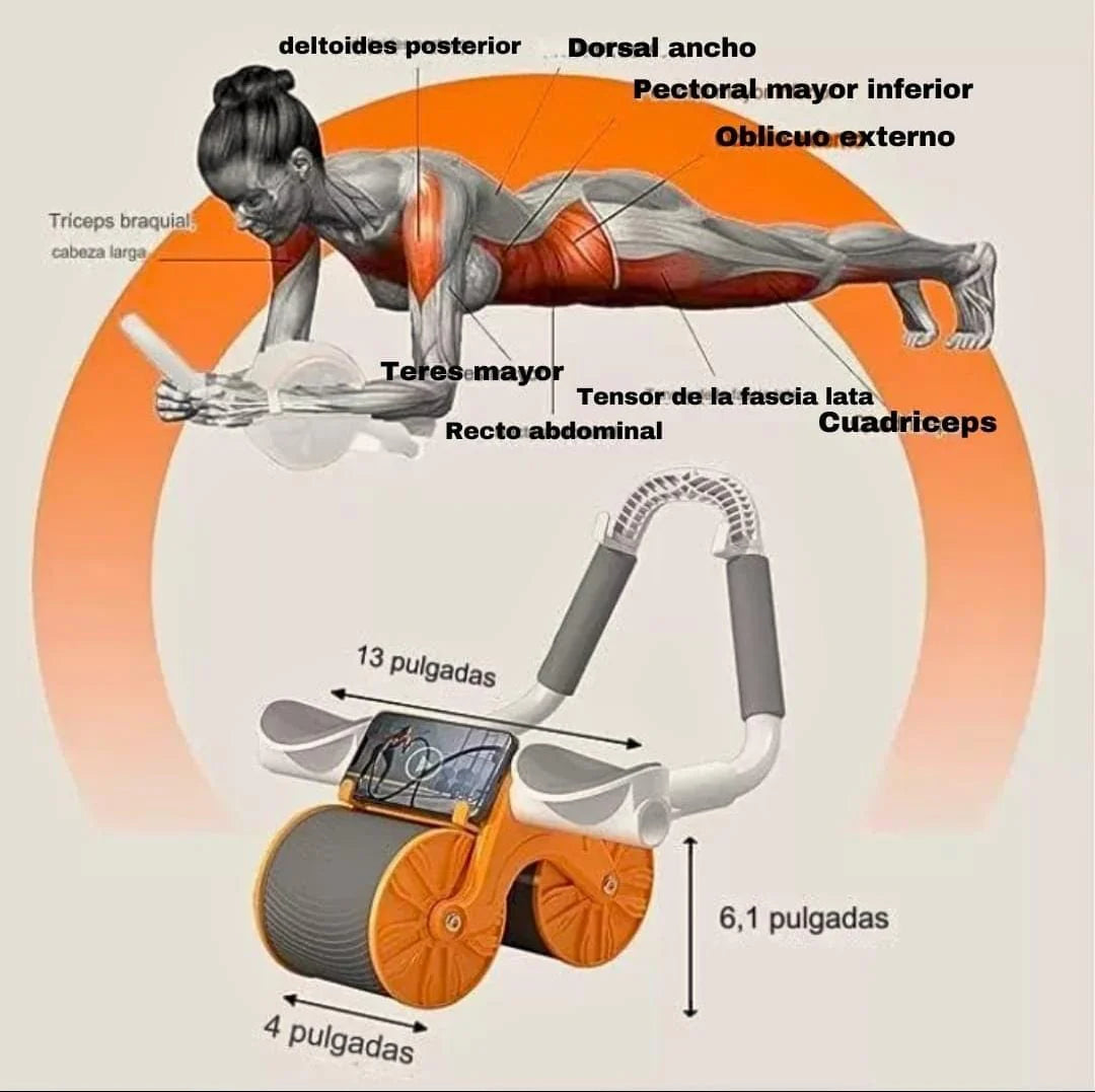 RUEDA DE EJERCICIO AbWheelRebound™️ l Efecto rebote para todos los niveles