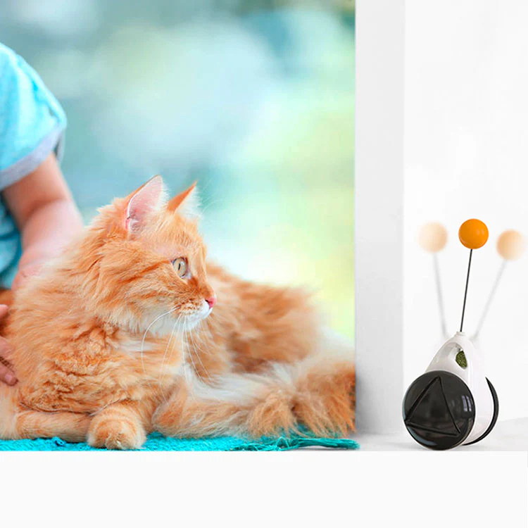 Carro ToyCat Interactivo 😻+ Envío gratis