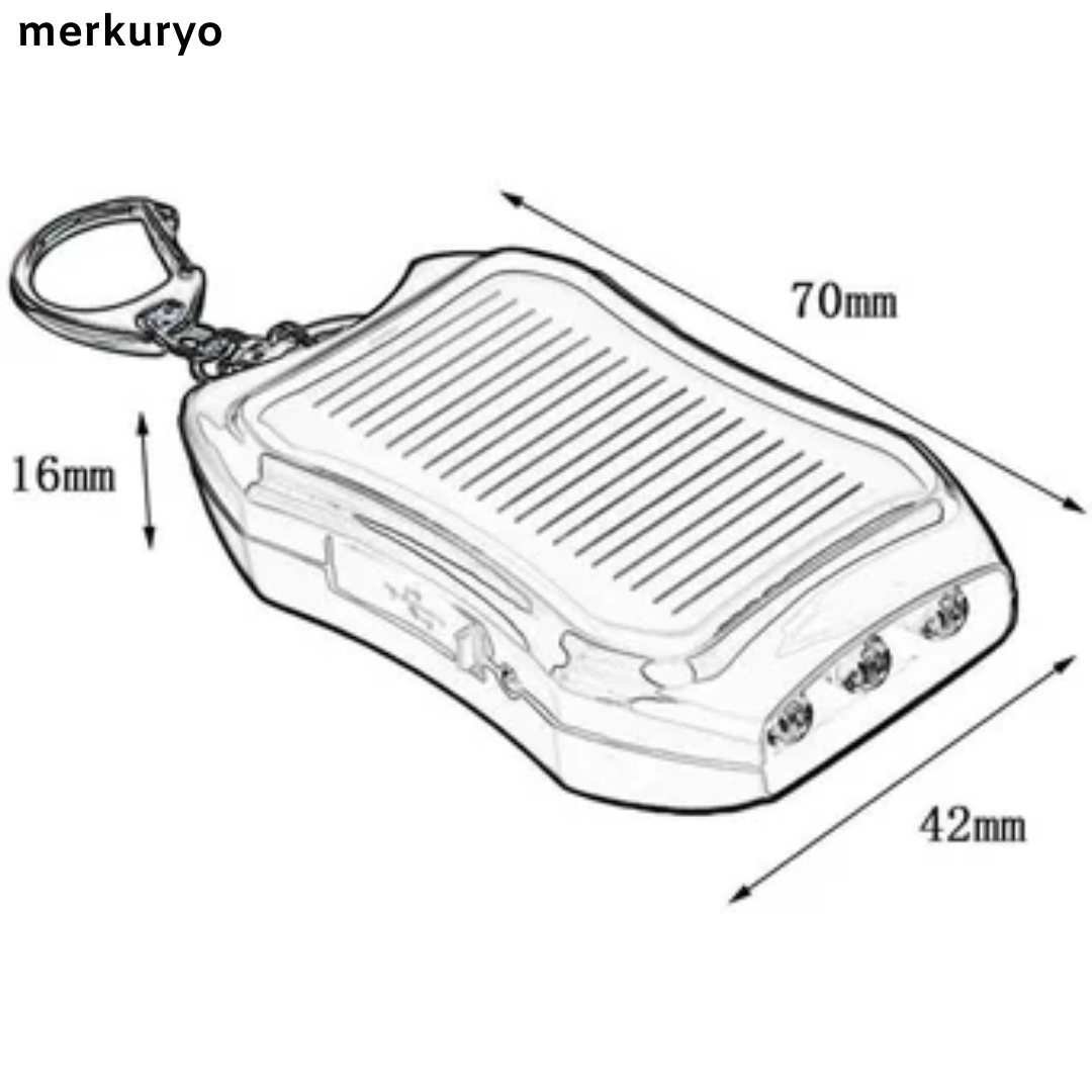 Cargador Solar Portable