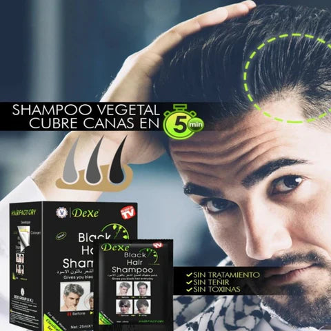 Shampoo Black® | Recupera el color🤩