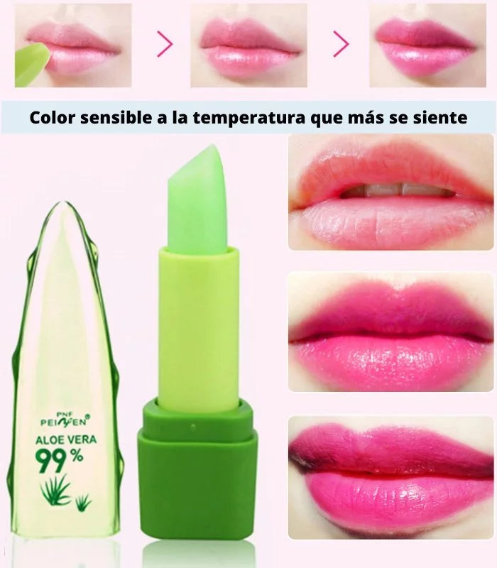 Labial MAGIC ALOE VERA + 🎁Pestañina Aloe Reafirmante Resistente al agua