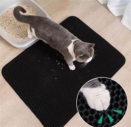 Tapete Arenero para Gatos CatMat® | Tu hogar y gatito impecables