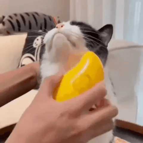 Cepillo 3 en 1 WashSteam® de Vapor para Mascotas-Masajea, limpia y ref –  merkuryo